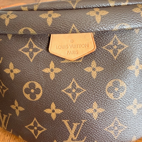 Louis Vuitton Monogram Bum Bag - Picture 2 of 14